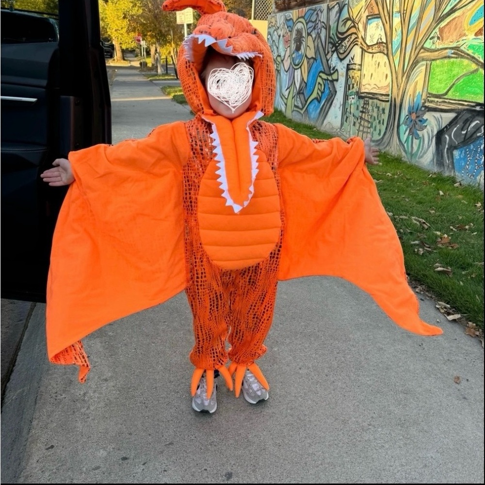 Pottery Barn Kids Orange Dinosaur Costume